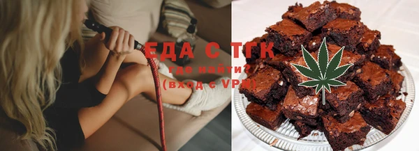 гашик Инта