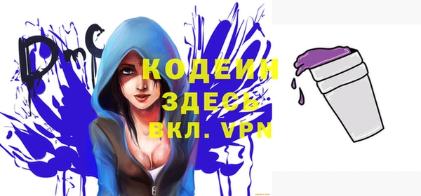 гашик Инта