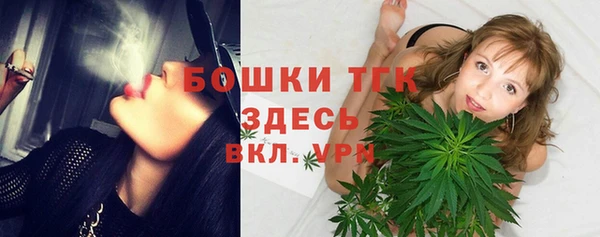 гашик Инта