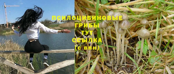 гашик Инта