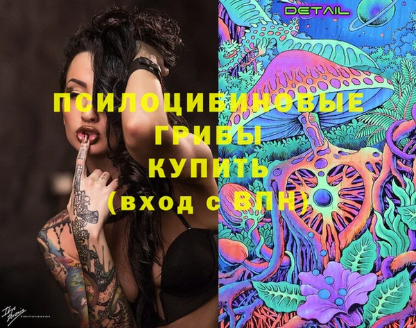 гашик Инта