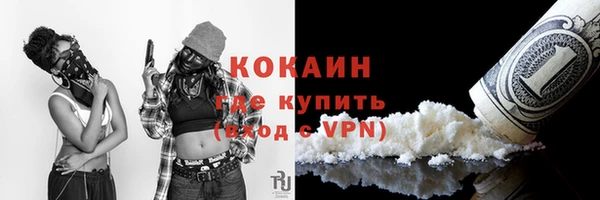 гашик Инта