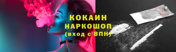 гашик Инта